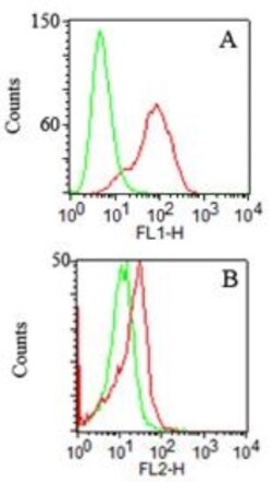 TLR2 Antibody (67N8F8) - Azide Free, Novus Biologicals:Antibodies:Primary